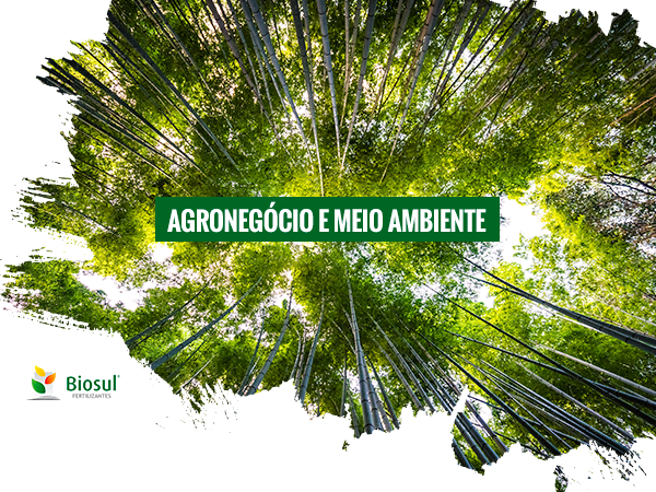Agronegocio E Meio Ambiente Biosul Fertilizantes 54 3231 7600 Vacaria Rs